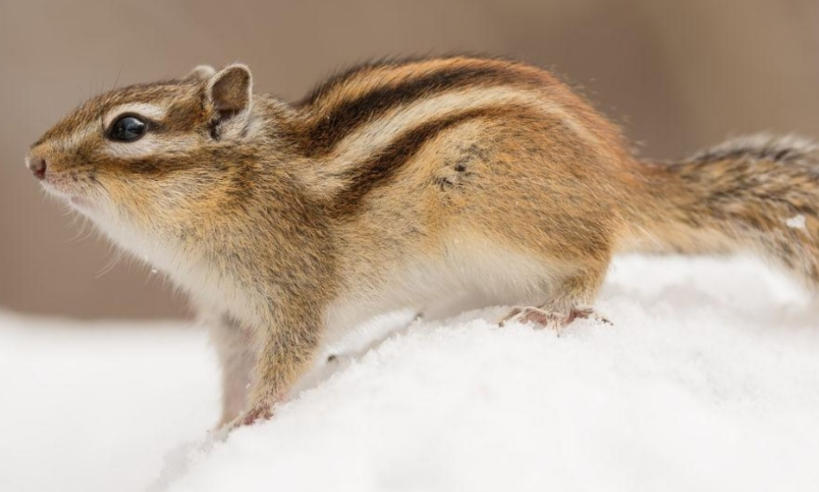 唐山 IT 社物流有限公司轮播图1